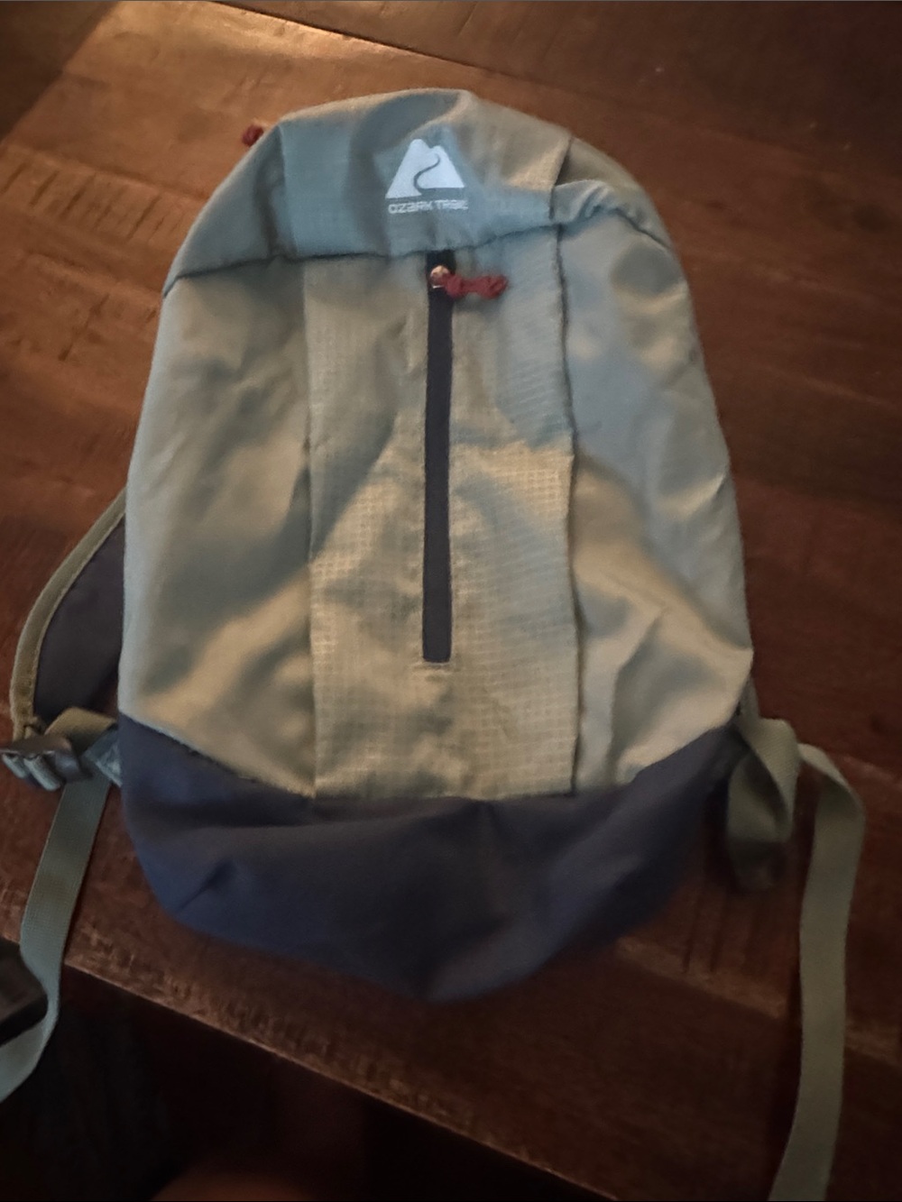 Ozark Trail Light Gray and Navy Daypack Backpack